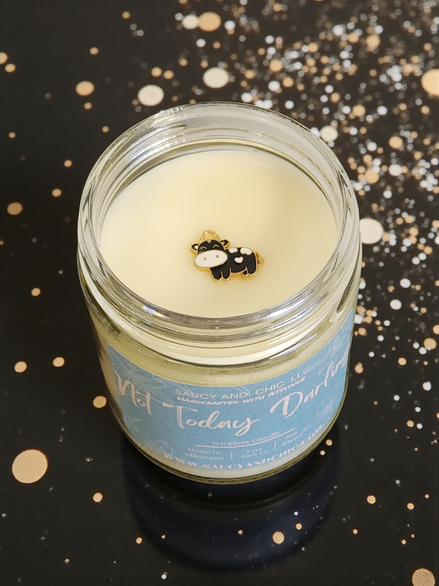 Not Today Darling – Sassy Wickless Candle | Bold, Funny, No Flame Home Decor