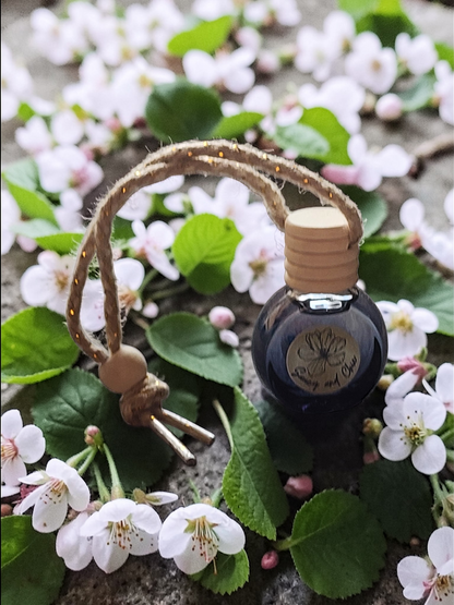 Healing w/ Attitude Car Diffuser – Fresh, Uplifting & Tropical Long-Lasting Car Air Freshener